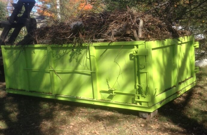 Tree Removal Dumpster Services, Boca Raton Junk Removal and Trash Haulers