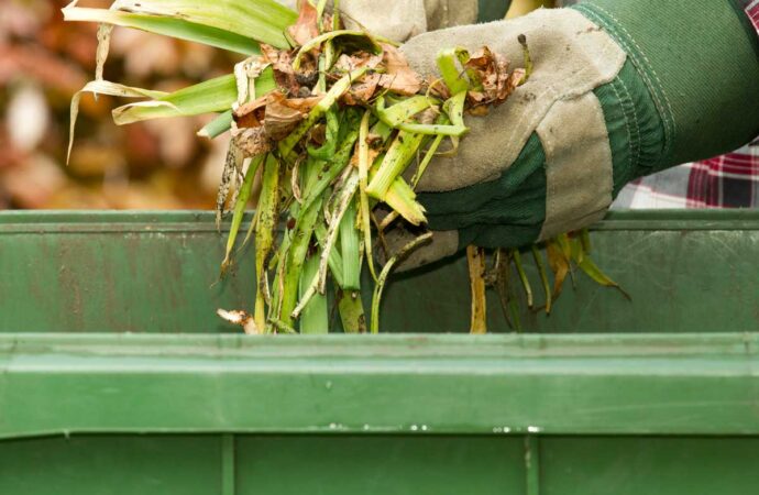 Yard Waste Dumpster Services, Boca Raton Junk Removal and Trash Haulers